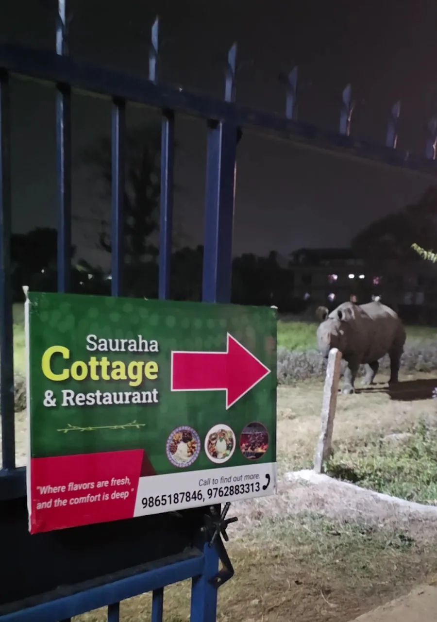 A rhino standing beside the Sauraha Cottage sign at night